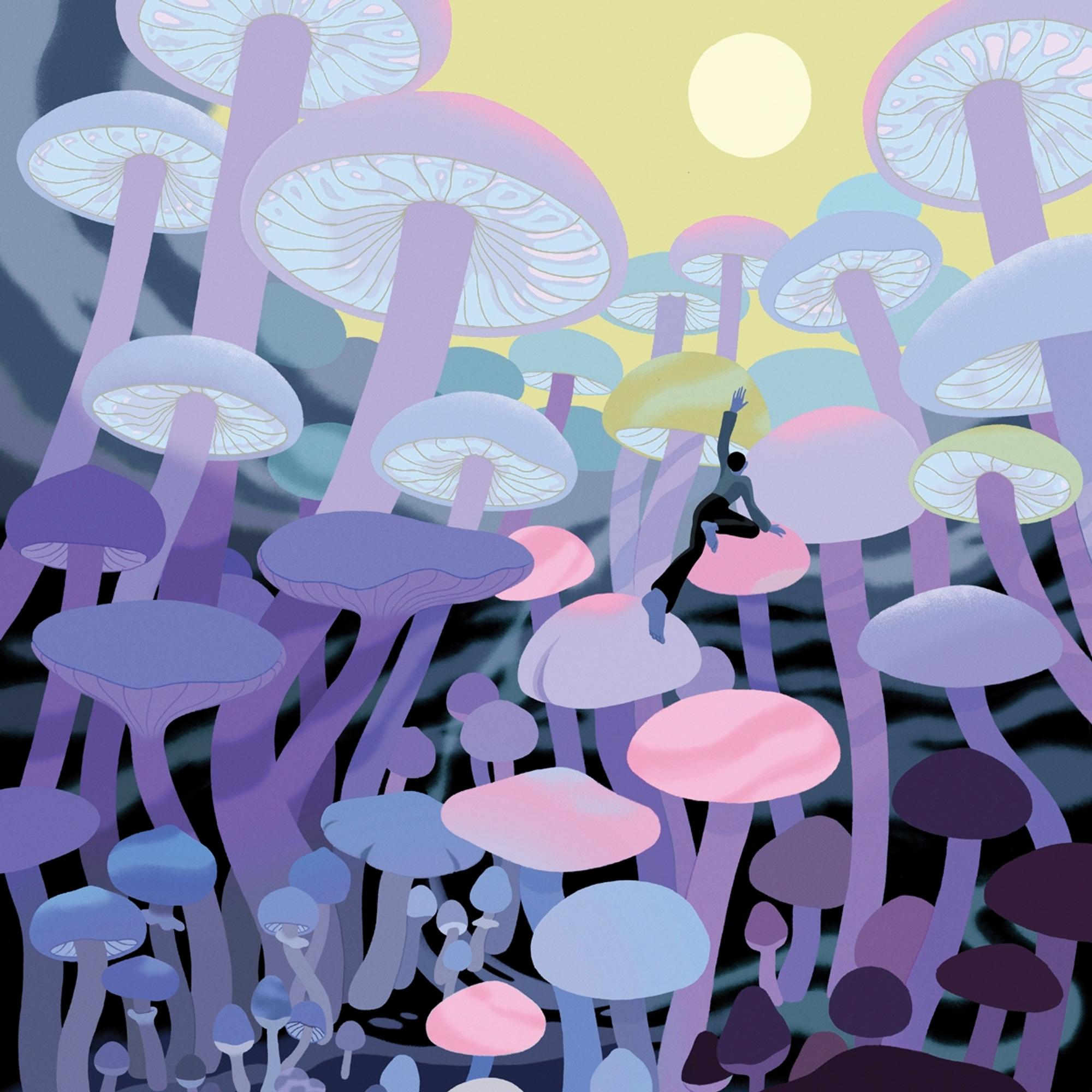 Itsemurhaa suunnitellut Henri Partala ei usko, että olisi selvinnyt ilman sienitrippiä