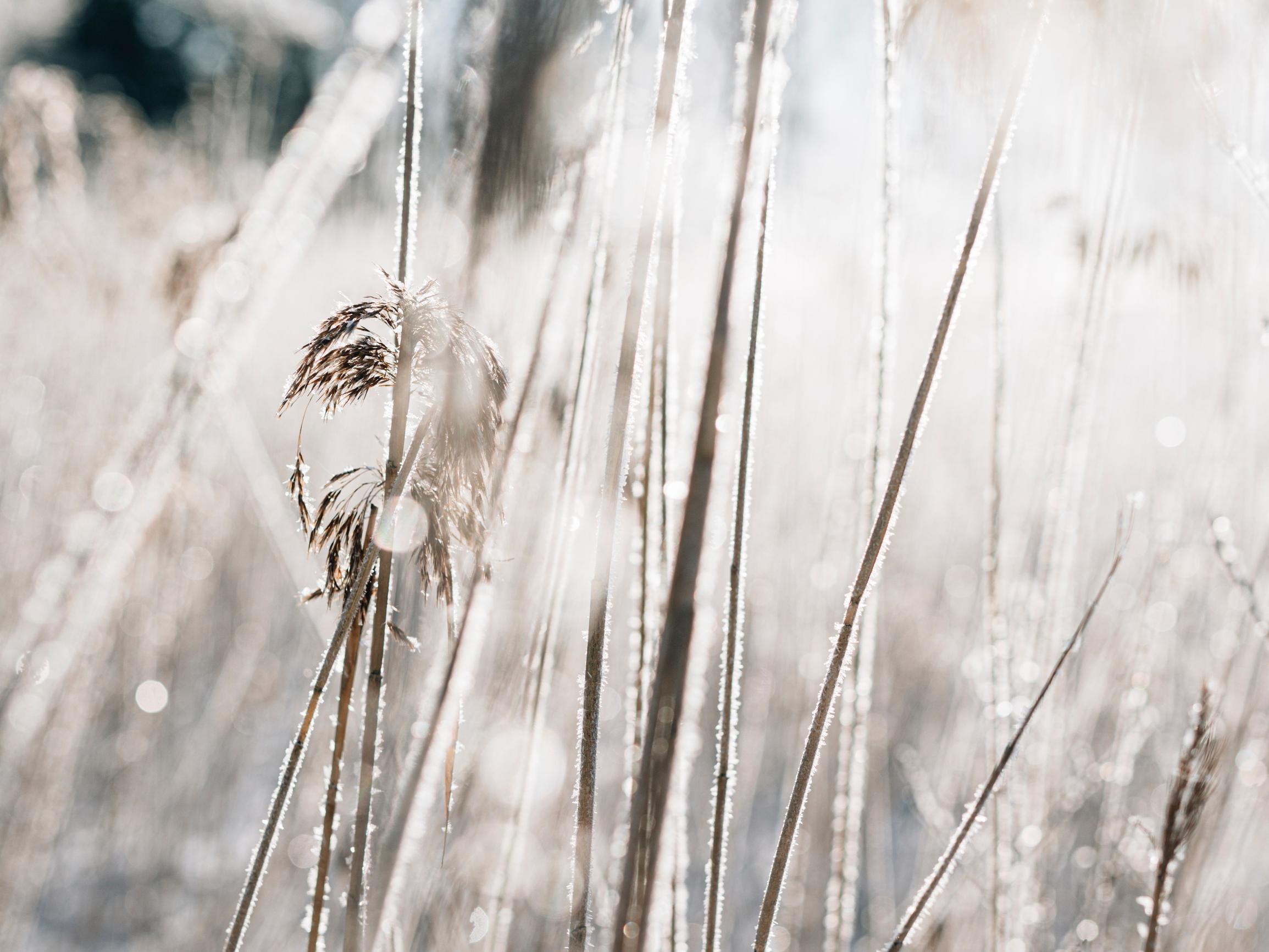 Ilmasto ei kiinnostanut Antti Rönkää, kunnes hän havahtui moottoritiellä – näin hän etsi parannuskeinoa ilmastoahdistukseensa