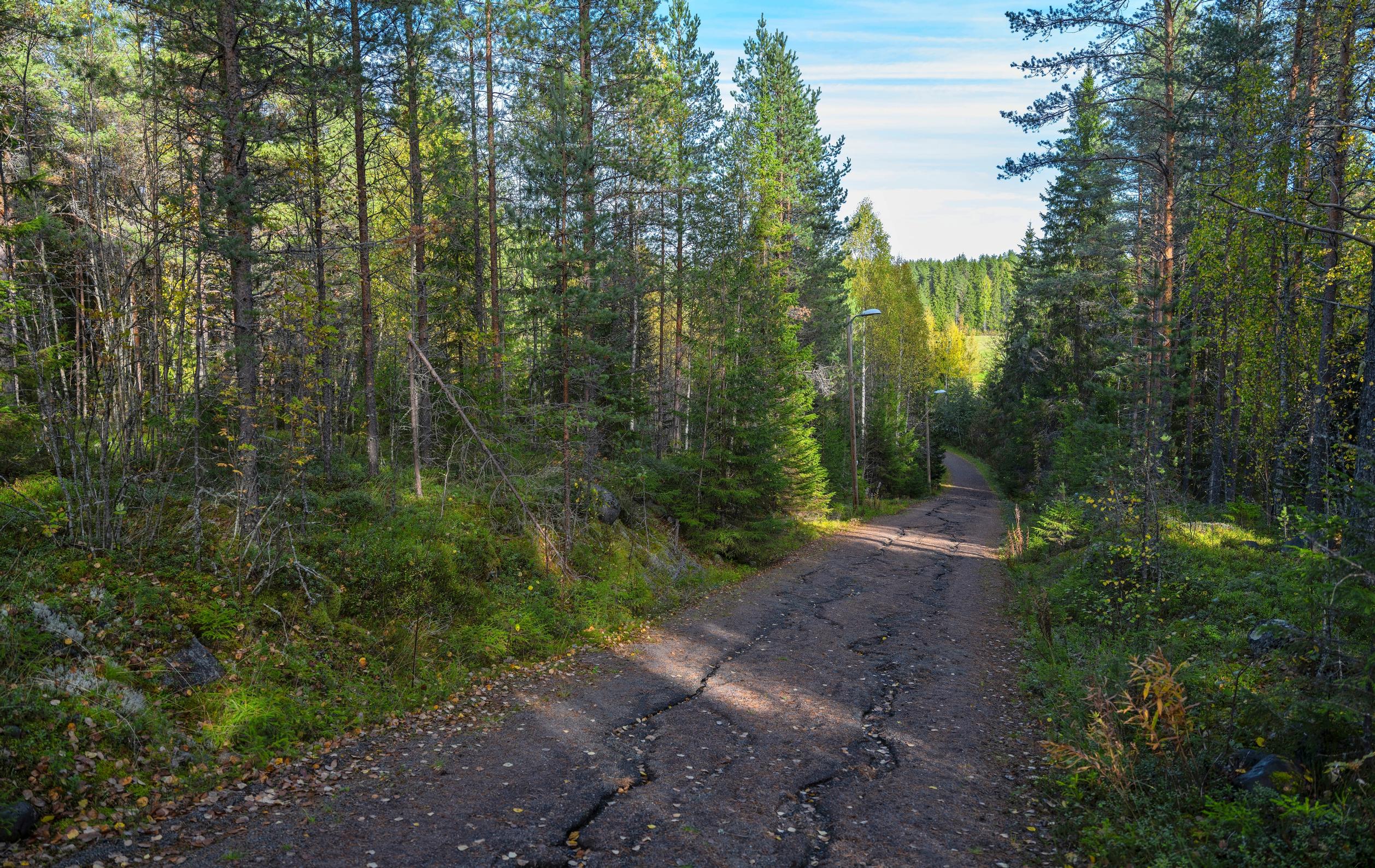 Oululaiset muistelevat, että Sankivaaran rinteessä Sanginjokivarressa on ollut laskettelukeskus. Nyt entisen laskettelumäen päällä kasvaa nuorta metsää.