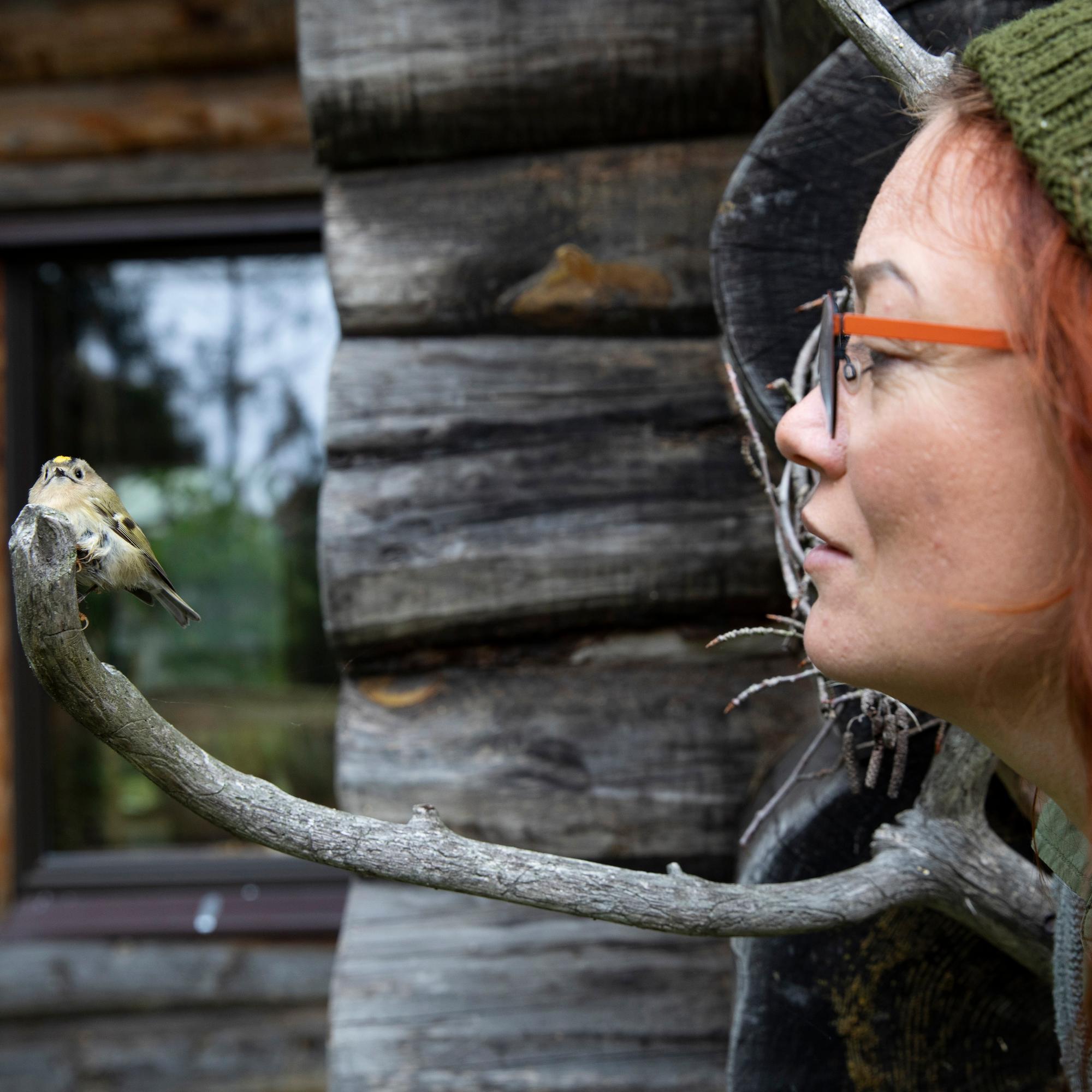 Yhteisökylän perustanut Hanna hankki kotiinsa sähköt ja vesivessan elettyään 15 vuotta ilman – ”Tämähän oli ihan törkeä takinkääntö”