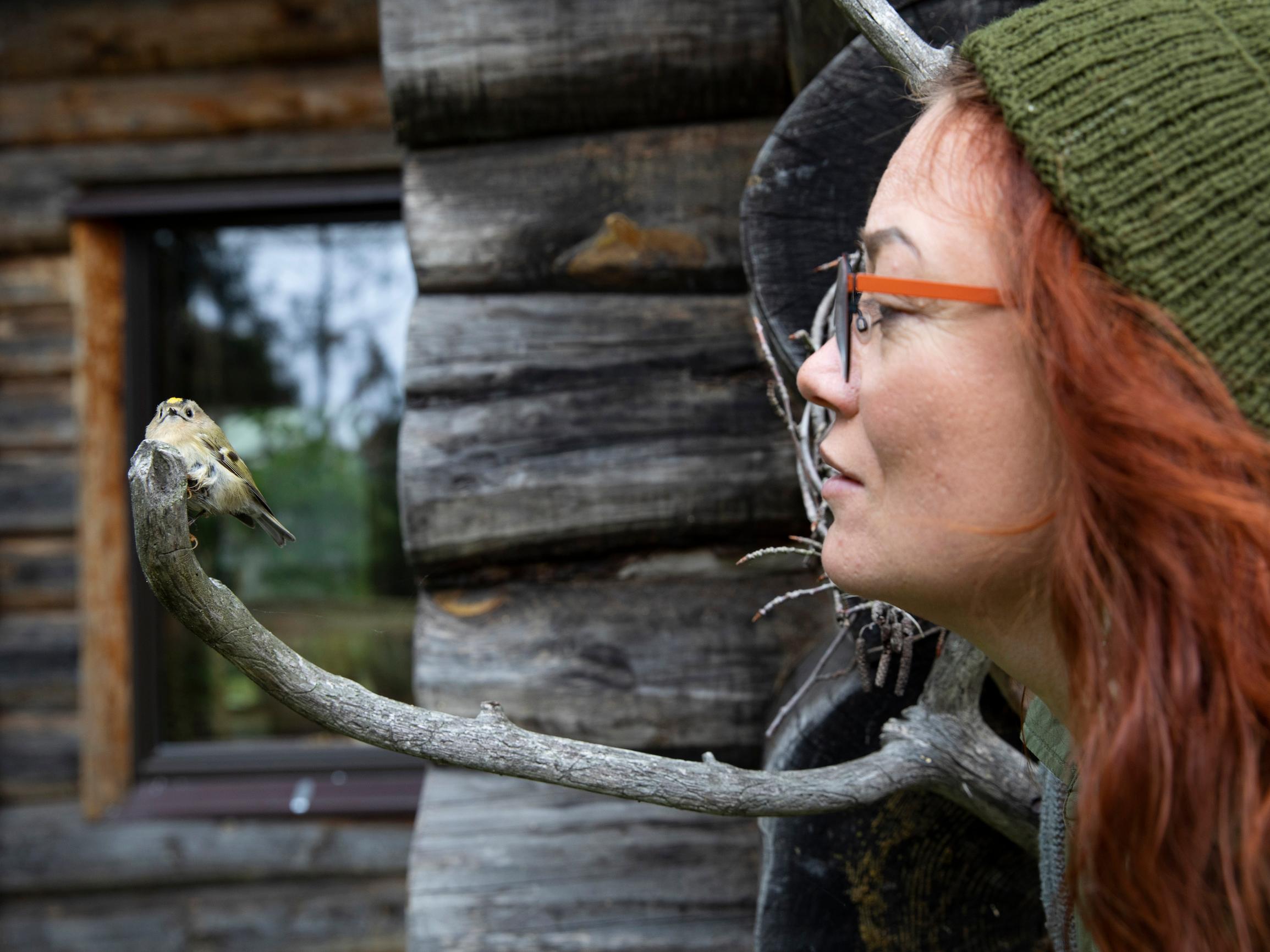 Yhteisökylän perustanut Hanna hankki kotiinsa sähköt ja vesivessan elettyään 15 vuotta ilman – ”Tämähän oli ihan törkeä takinkääntö”