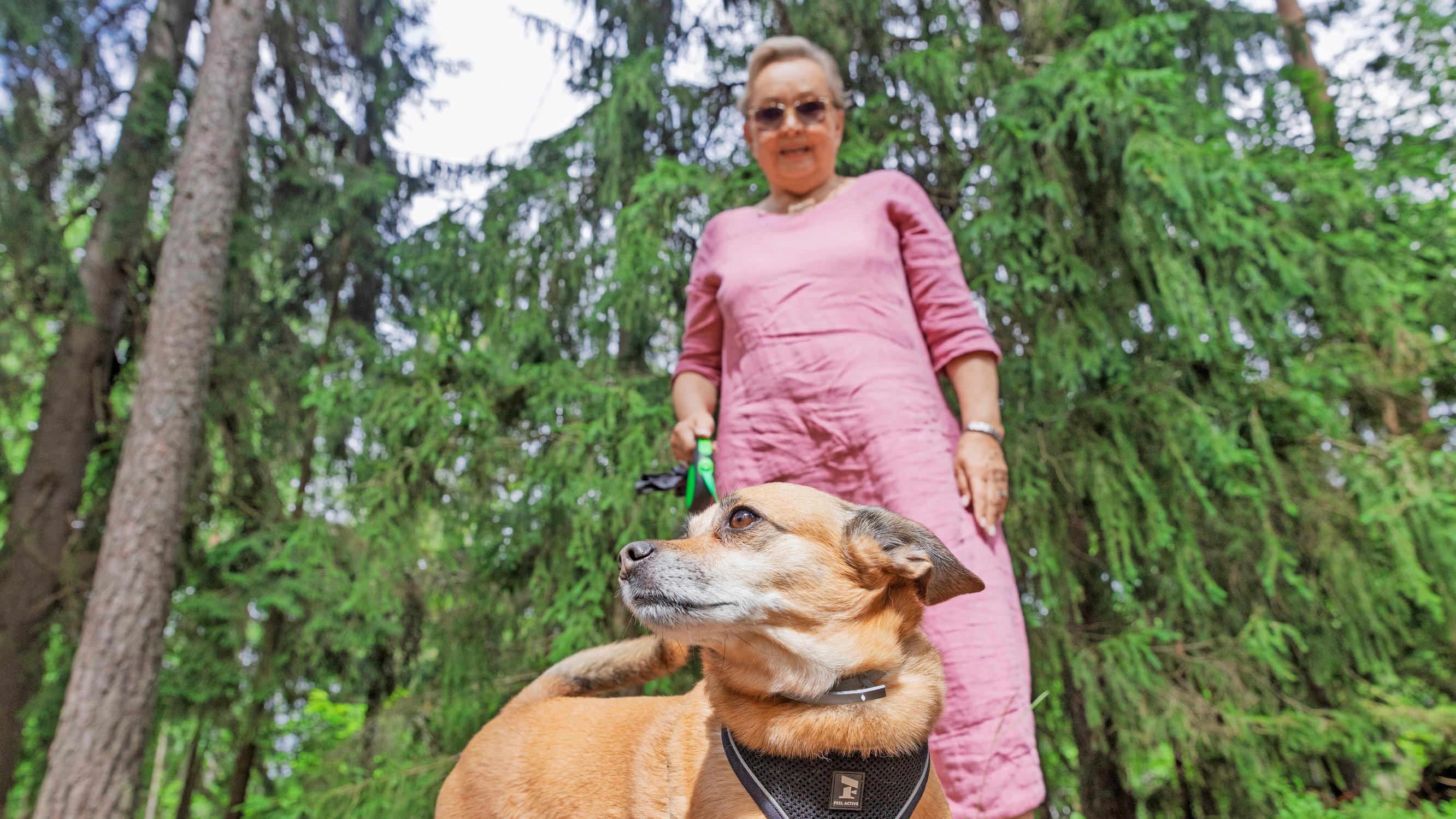 Kirjailija Raija Oraselle perhe on tärkein ja koira välttämätön – ”Jokainen ikääntyvä nainen tarvitsisi koiran läsnäoloa”