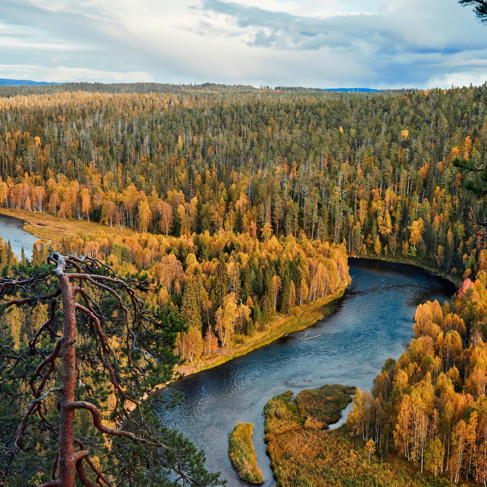 Kontiot Karhunkierroksella