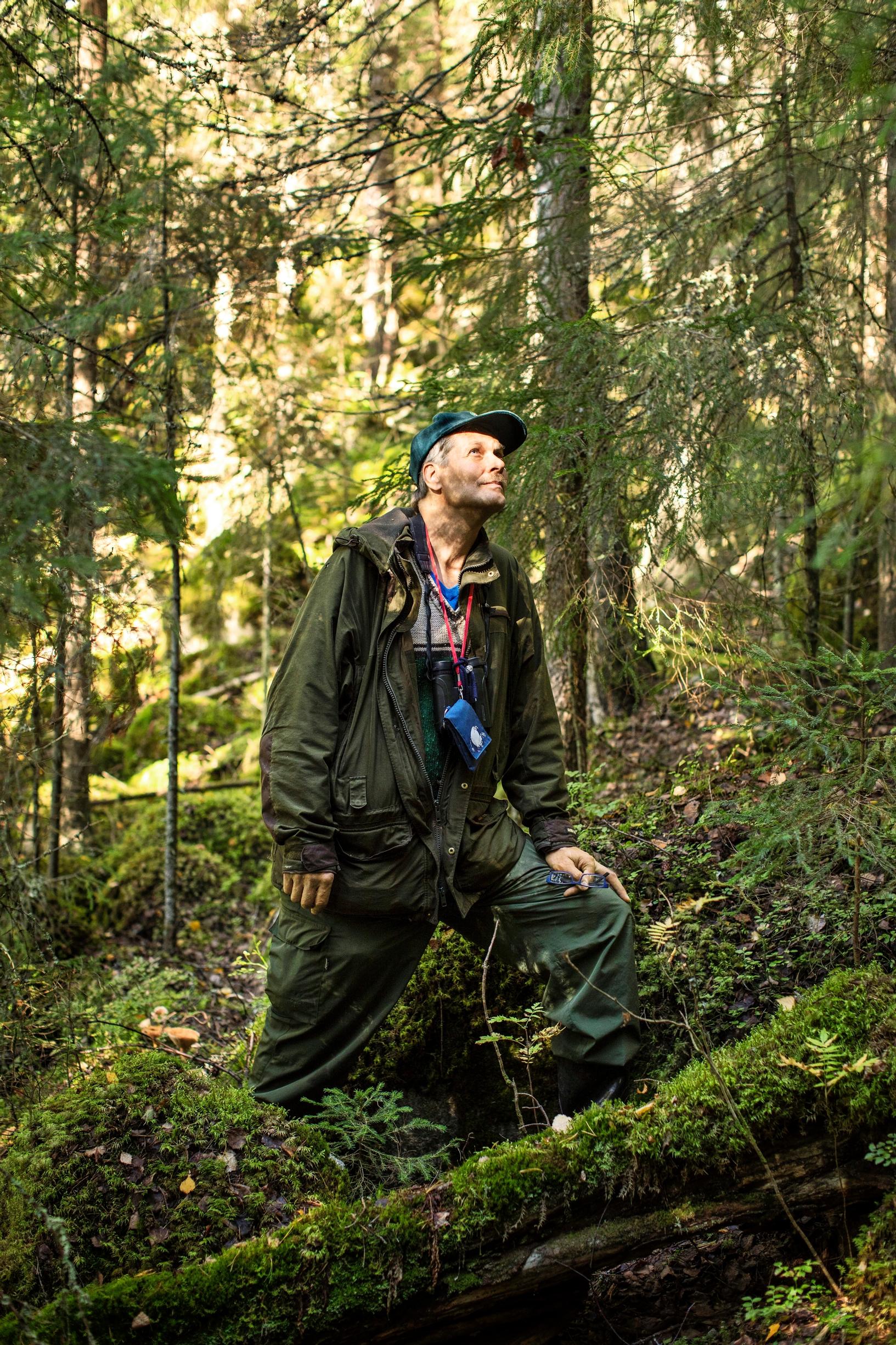 Risto Sulkava Kintturinteellä