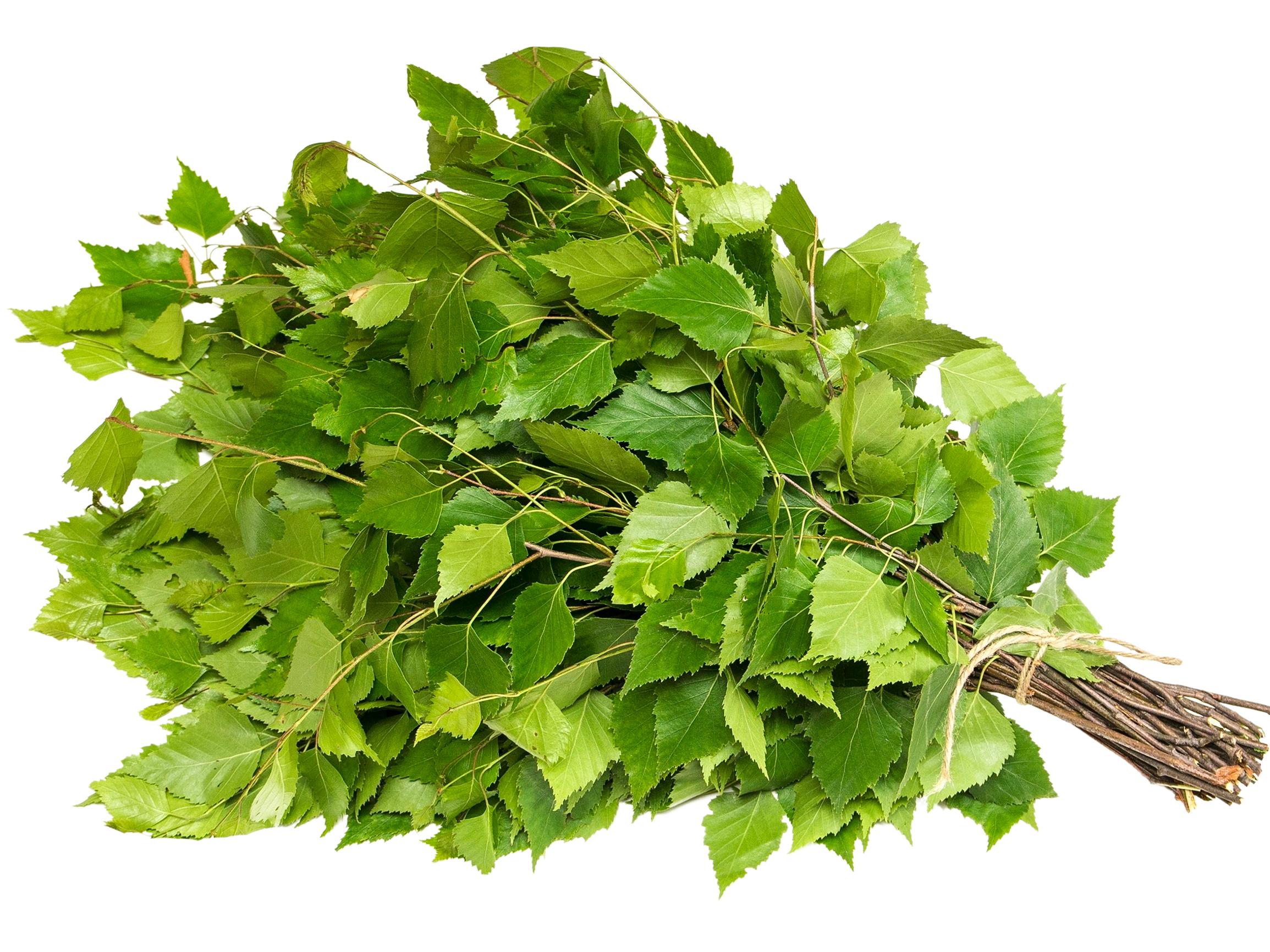 Totta vai tarua: Saako sydänsairas saunoa?