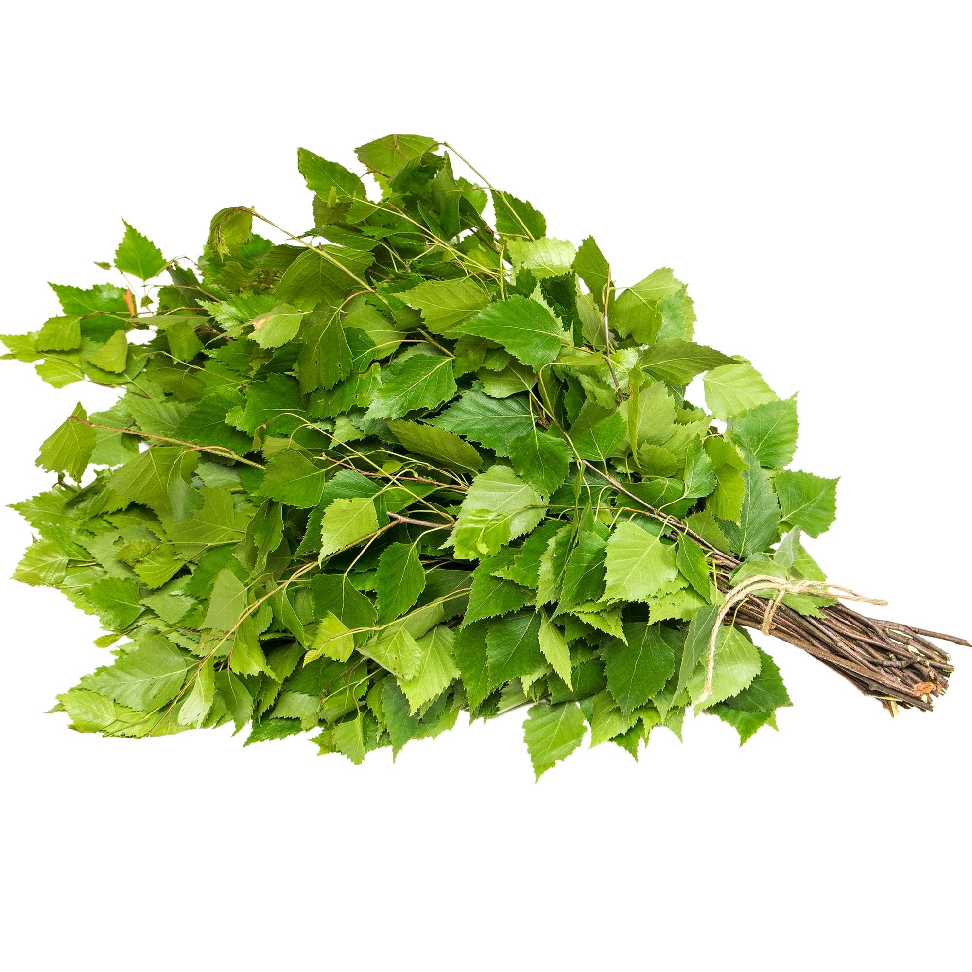 Totta vai tarua: Saako sydänsairas saunoa?